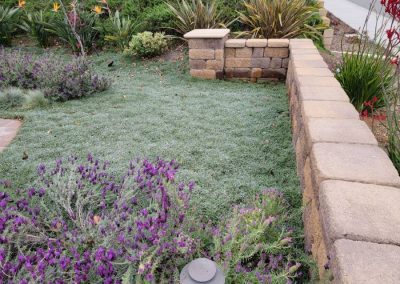 Lawn Maintenance Service Provider Vista CA