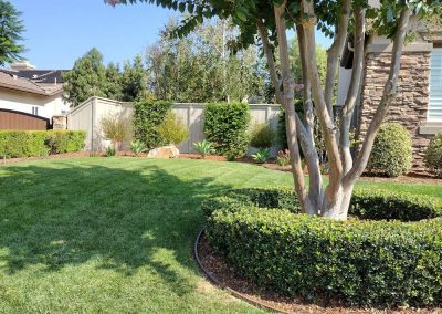 Lawn Care Vista CA