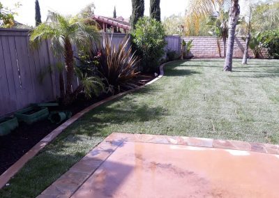 Professional Yard Cleanup Vista CA